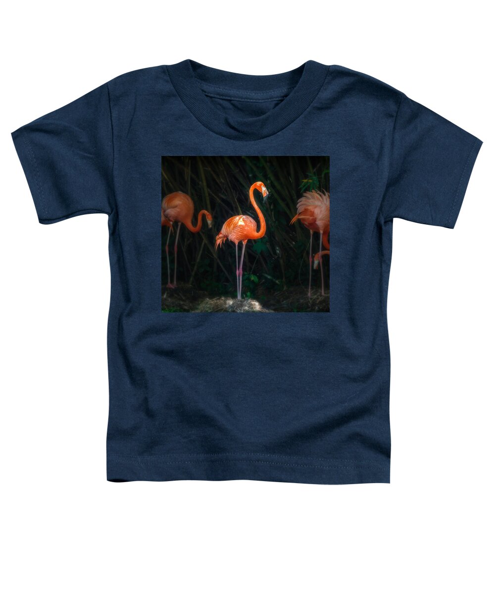 Critter Toddler T-Shirt featuring the photograph Flamingo Spotlight by Sylvia J Zarco