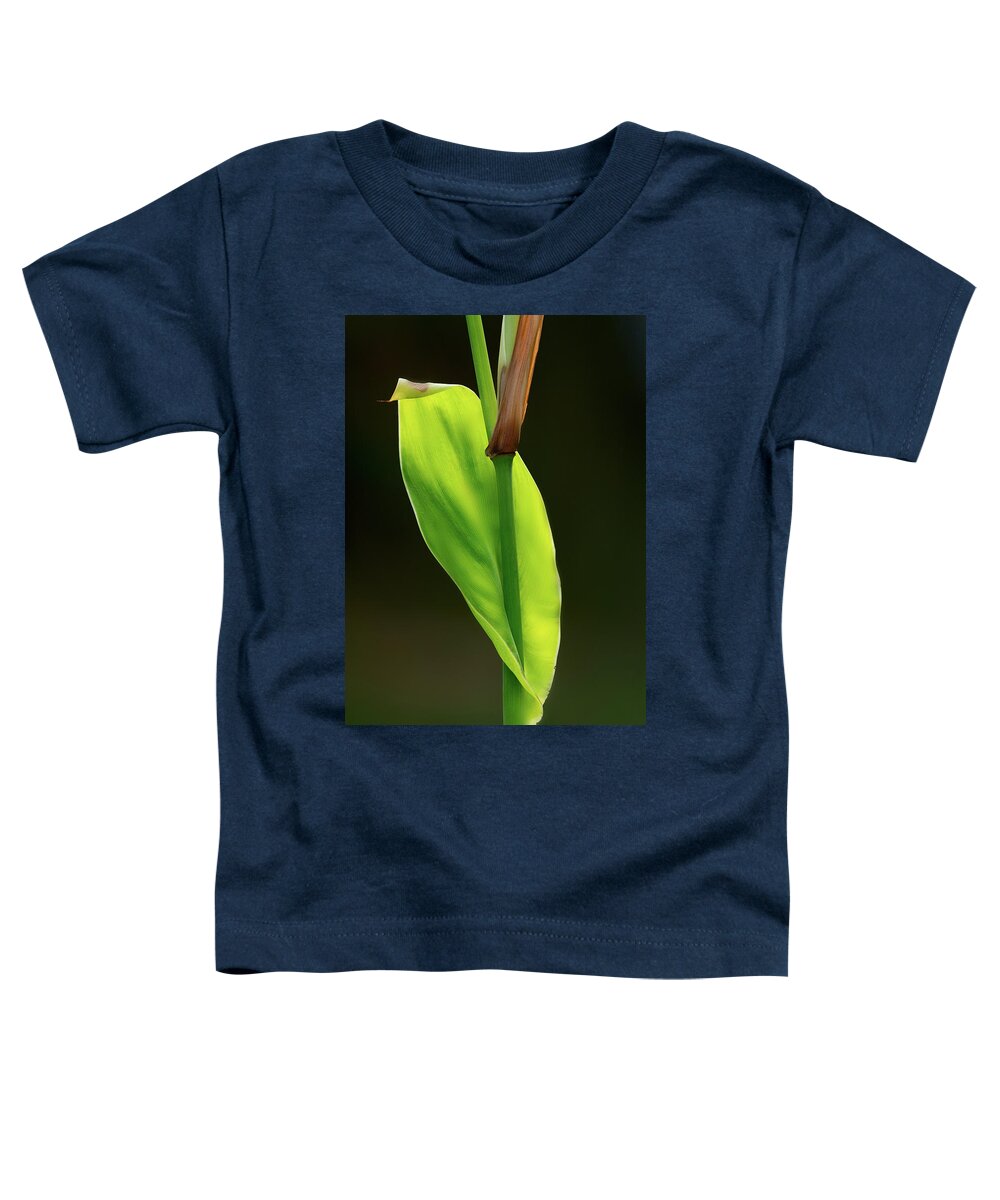 Leaf Toddler T-Shirt featuring the photograph Green by Alexander Fedin