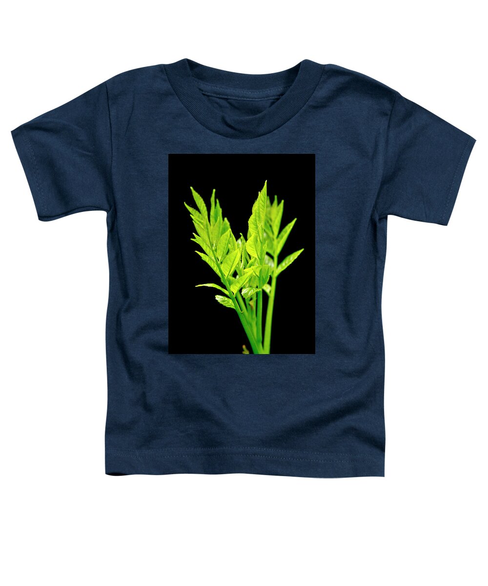Forest Toddler T-Shirt featuring the photograph Green Spurs and Sunlight. by Elena Perelman