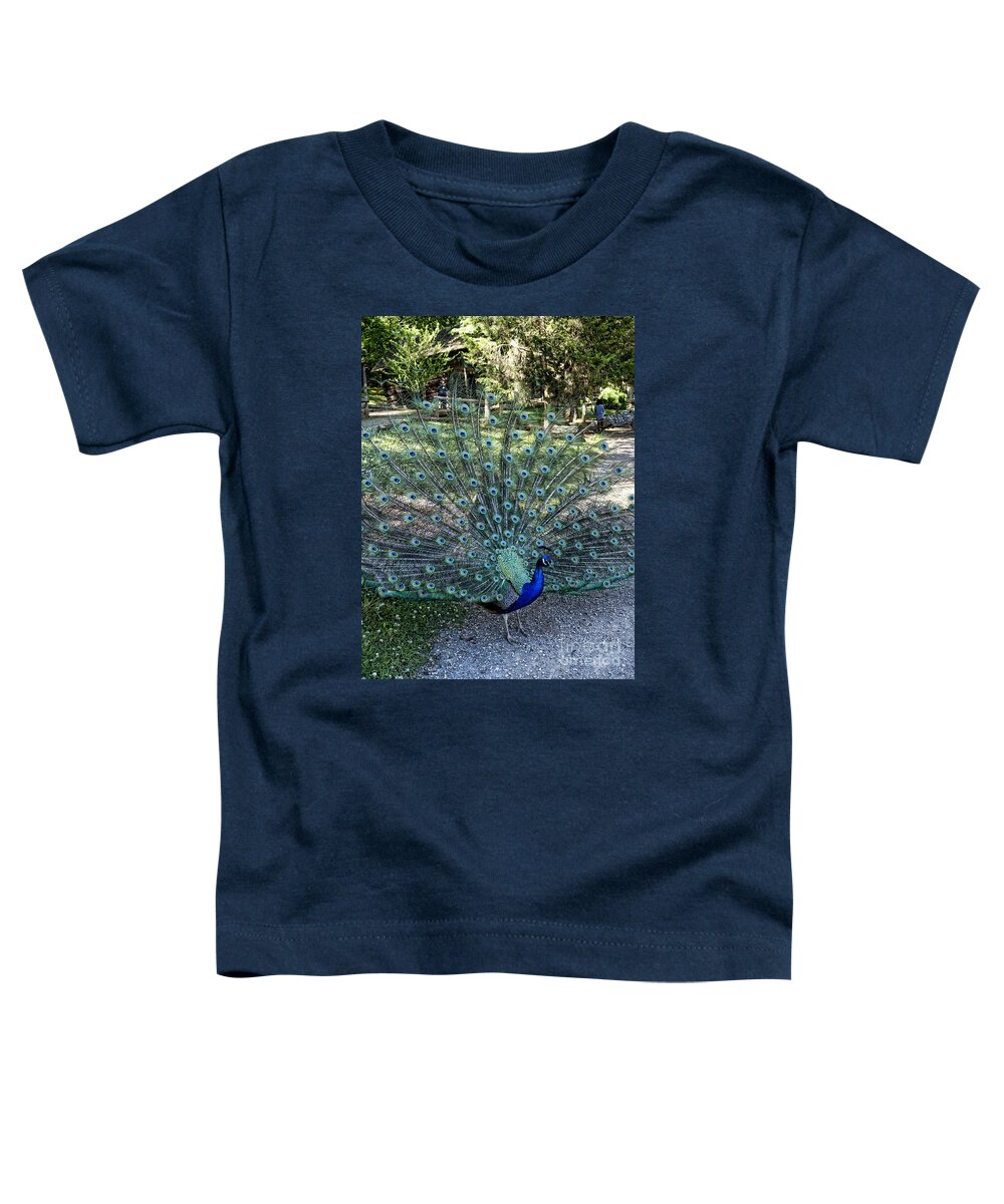Peacock Toddler T-Shirt featuring the photograph In all His Glory by Brenda Kean