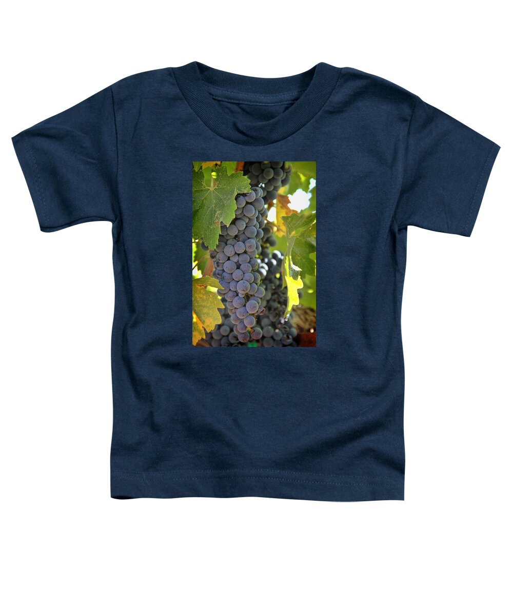 Wine Toddler T-Shirt featuring the photograph In the Vineyard by Nancy Ingersoll