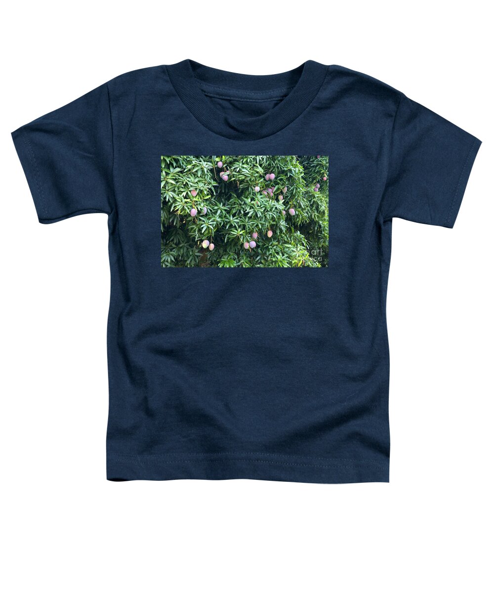 Mango Toddler T-Shirt featuring the photograph Mango Tree by Inga Spence