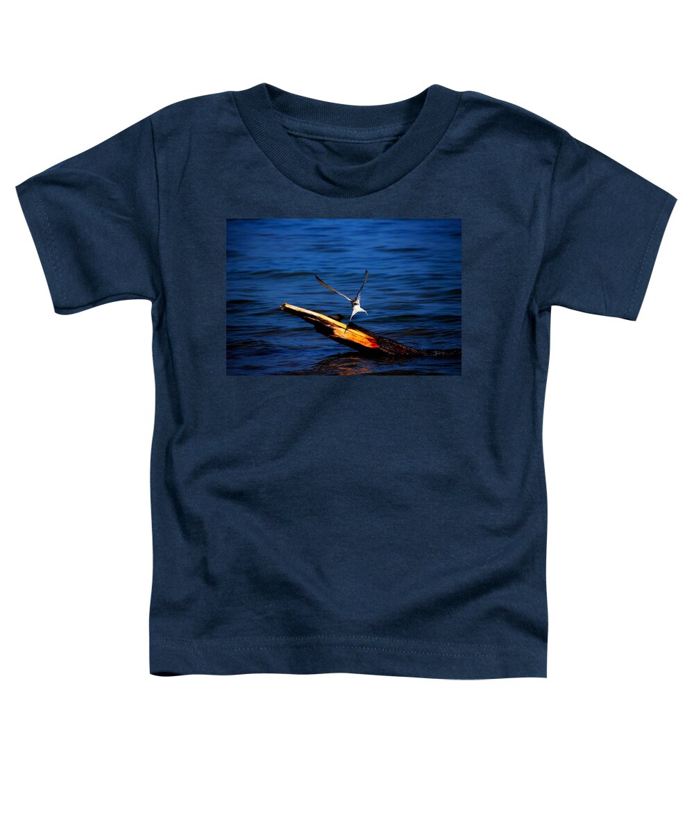Bird Toddler T-Shirt featuring the photograph My Tern to Perch by Amanda Struz
