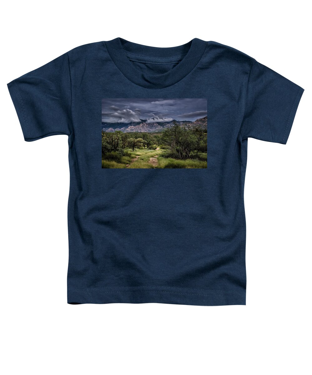 Santa Catalina Mountains Toddler T-Shirt featuring the photograph Odyssey Into Clouds by Mark Myhaver