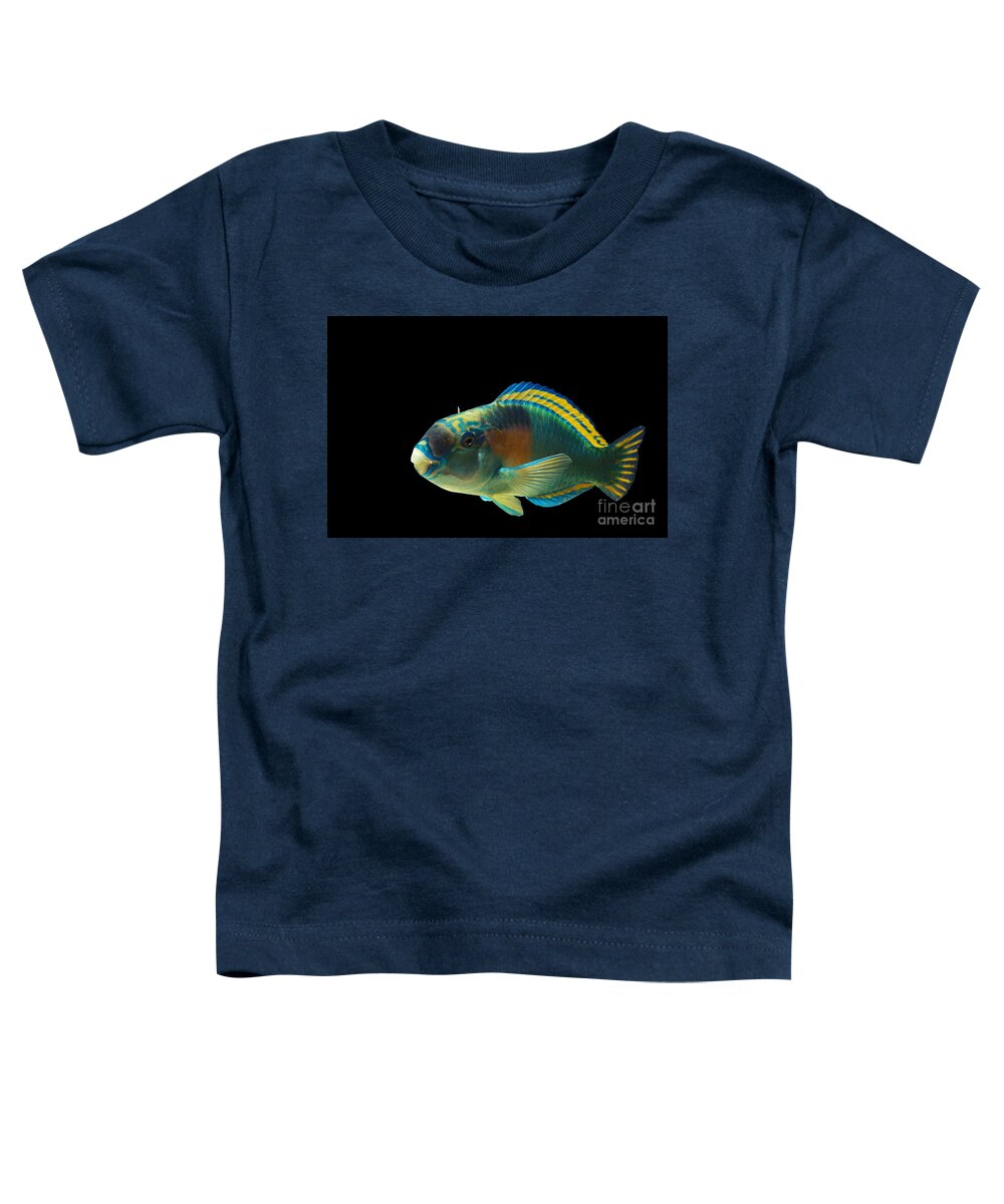 Adult Toddler T-Shirt featuring the photograph Parrot Fish Chlorurus Sordidus by Gerard Lacz