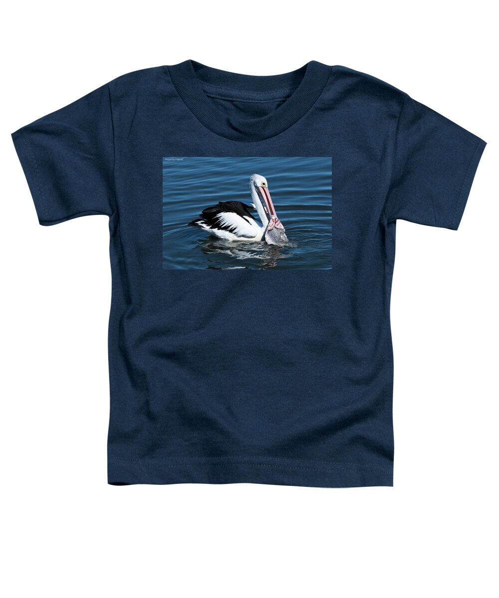 Pelican Photography Toddler T-Shirt featuring the photograph Pelican fishing 6661 by Kevin Chippindall