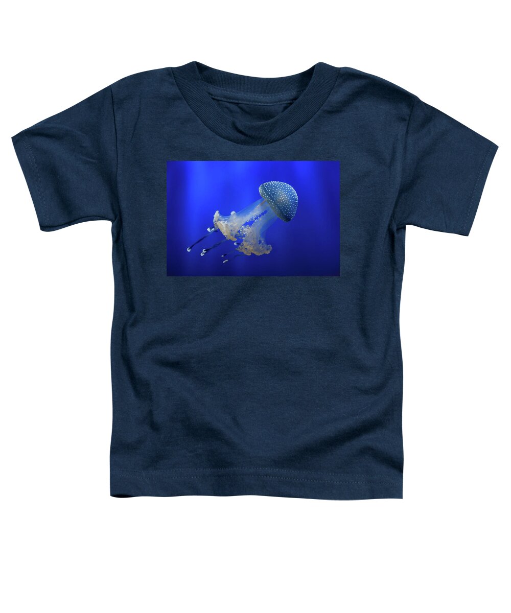 Jellyfish Toddler T-Shirt featuring the photograph Phyllorhiza punctata by Giovanni Allievi