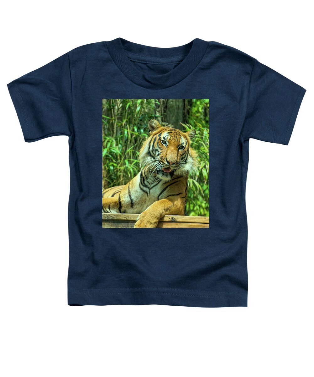 Tiger Toddler T-Shirt featuring the photograph Reclining Tiger by Artful Imagery