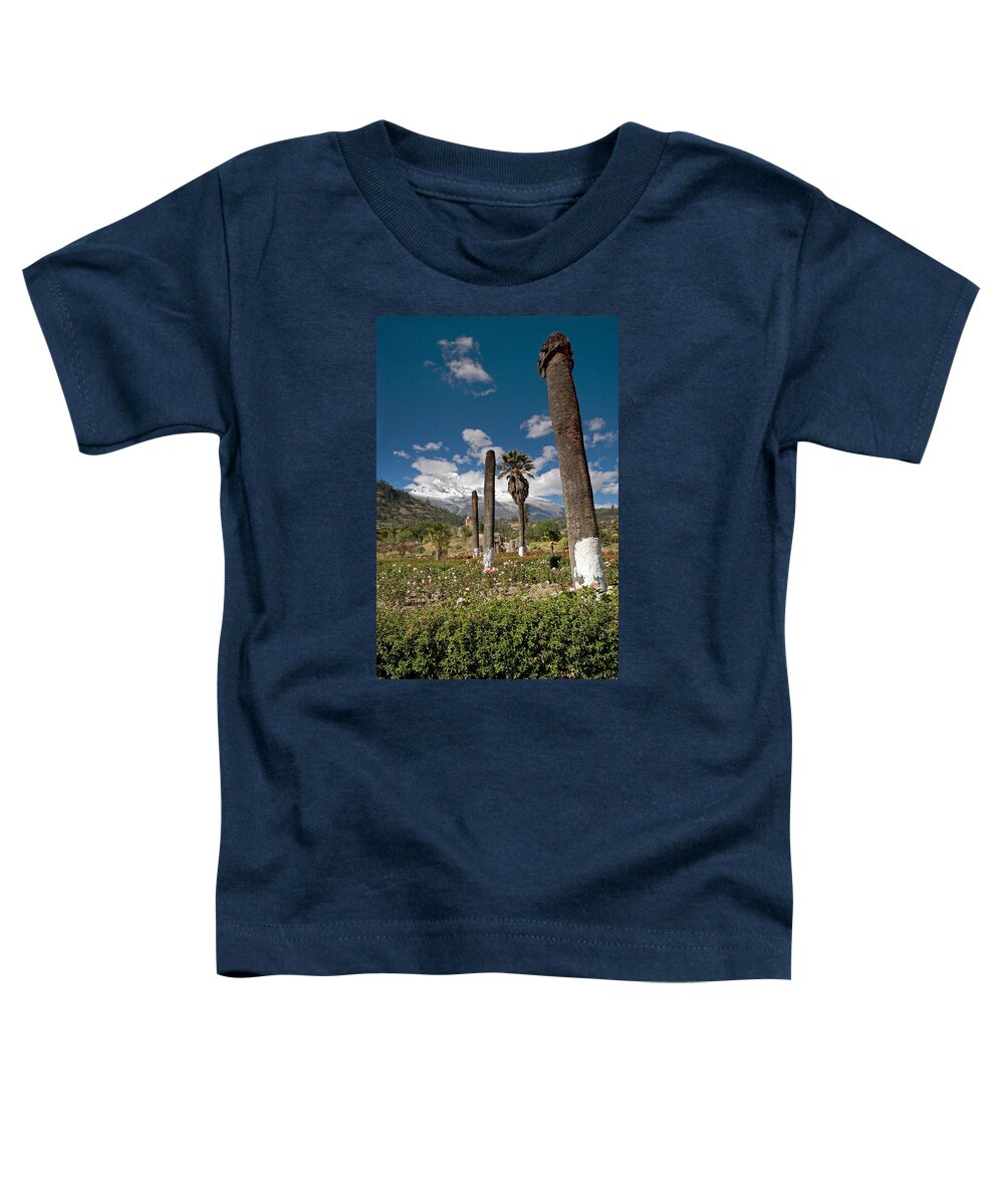Campo Santo Toddler T-Shirt featuring the photograph Reminders of Tragedy by Aivar Mikko