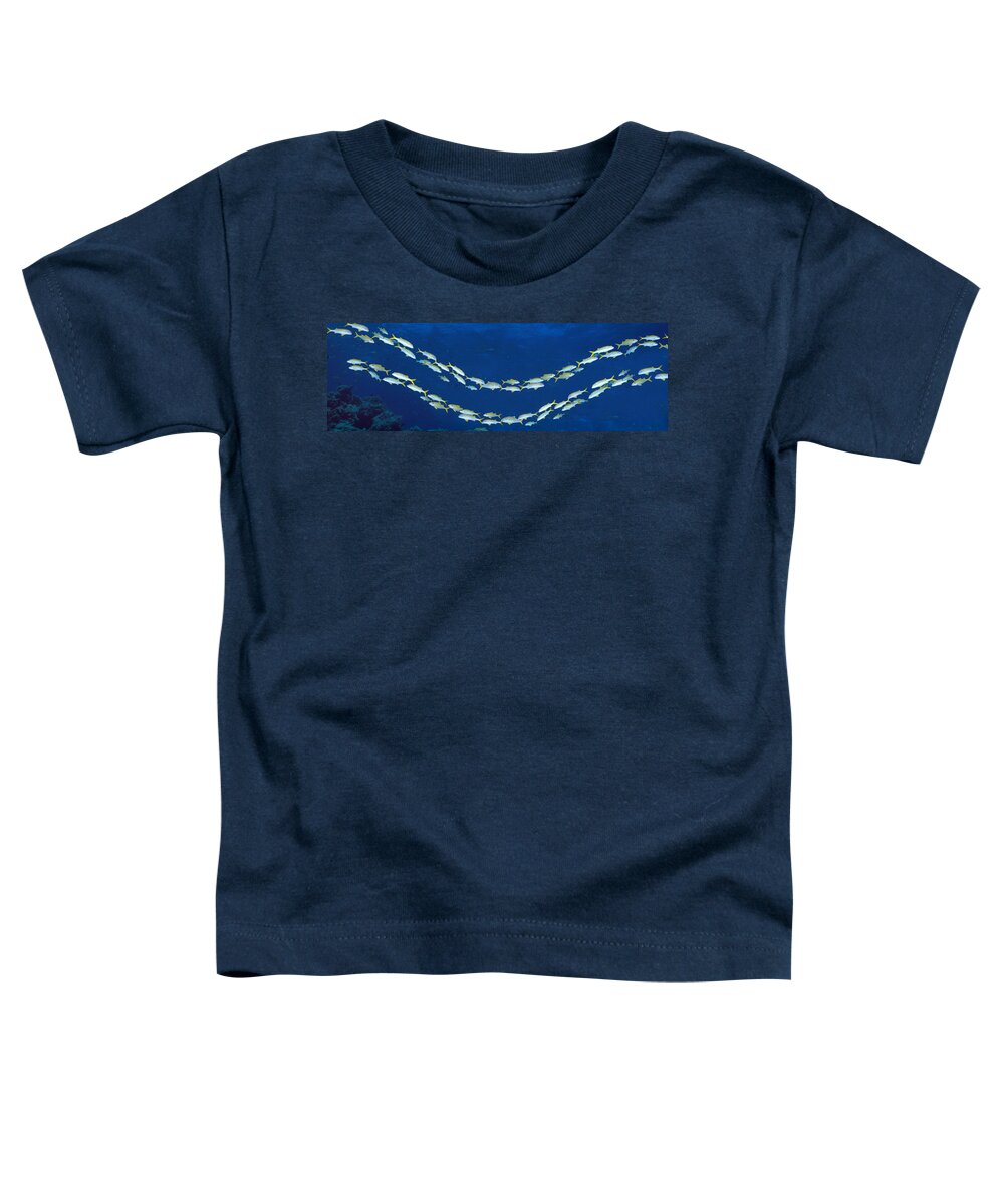 Photography Toddler T-Shirt featuring the photograph School Of Fish Great Barrier Reef by Panoramic Images