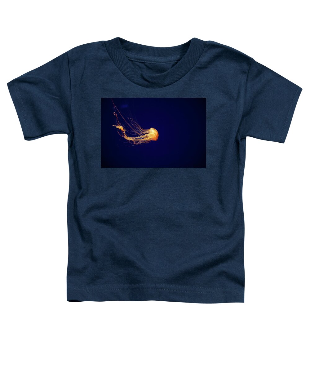 Sea Nettle Jellyfish Toddler T-Shirt featuring the photograph Sea Nettle Dance by Diane Macdonald