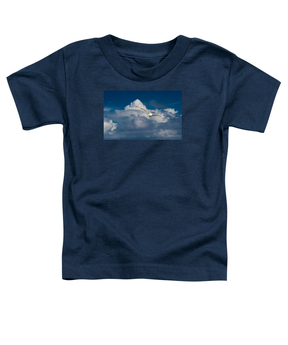 Seagull Toddler T-Shirt featuring the photograph Seagull High Over the Clouds by Andreas Berthold
