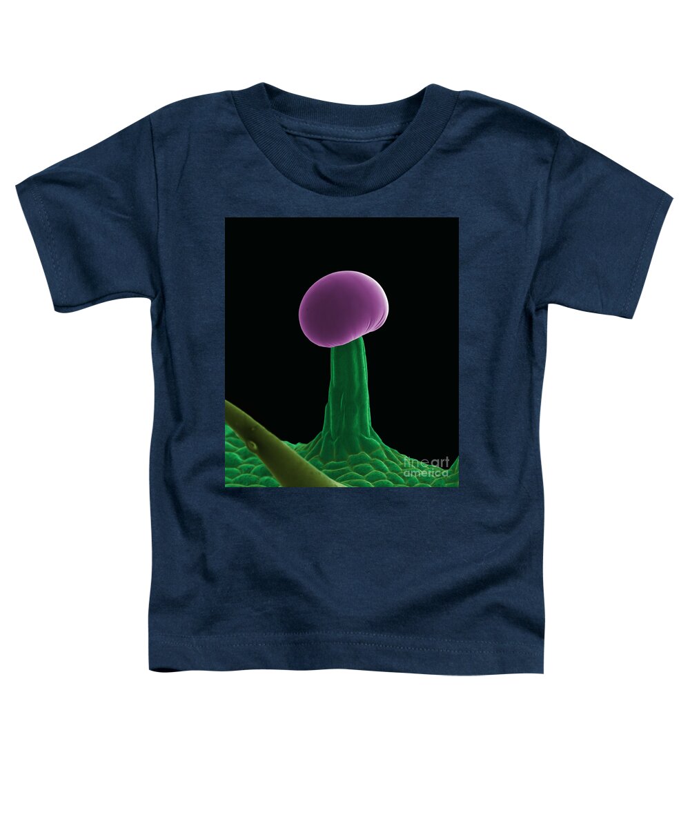 Biological Toddler T-Shirt featuring the photograph SEM Cannabis Trichome by Ted Kinsman