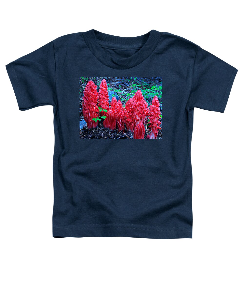 Lake Tahoe Toddler T-Shirt featuring the photograph Snowflower Pow Wow by Sean Sarsfield