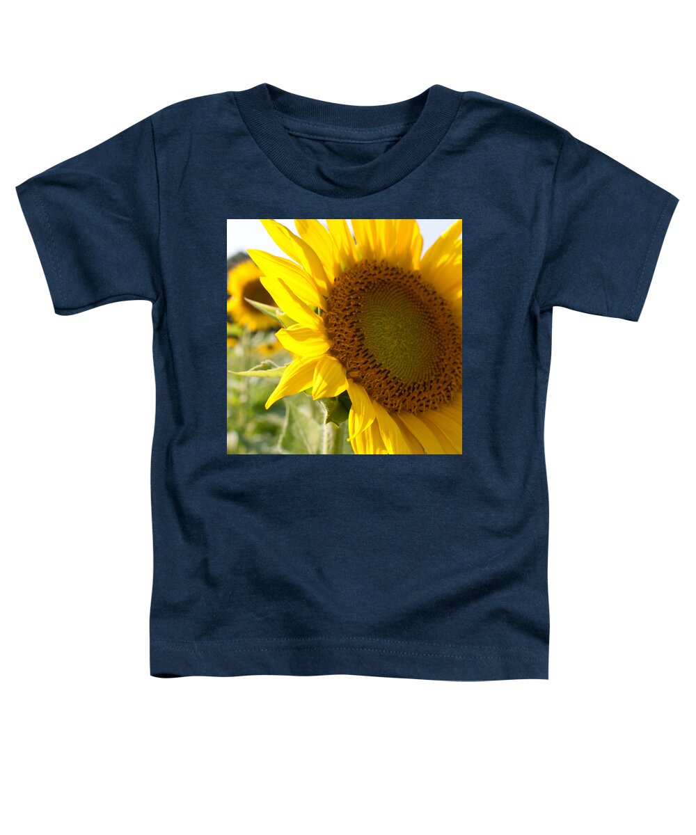 Sunflower Toddler T-Shirt featuring the photograph Sunflower Fields by Bjl