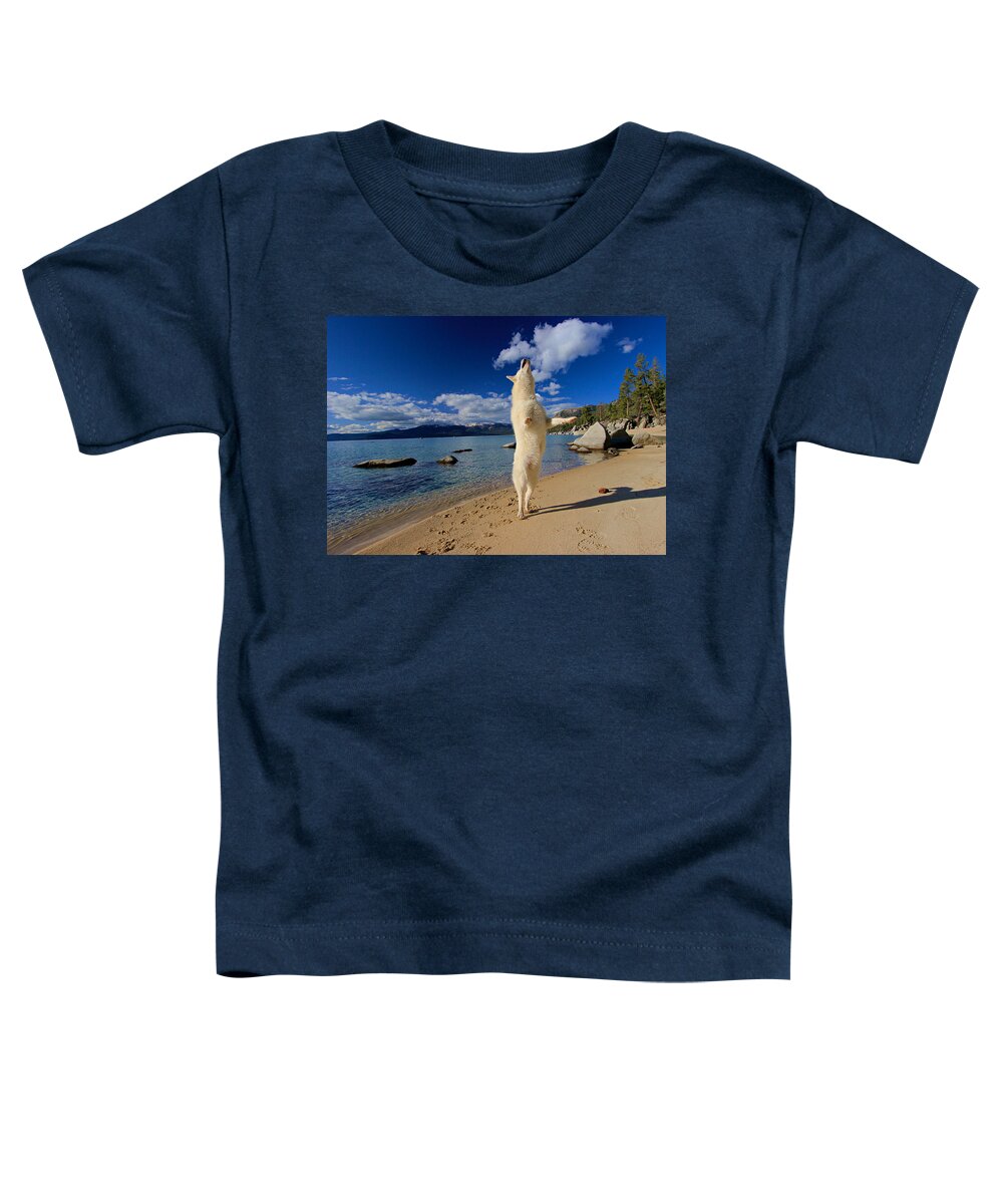 Lake Tahoe Toddler T-Shirt featuring the photograph The Joy of Being Well Loved by Sean Sarsfield