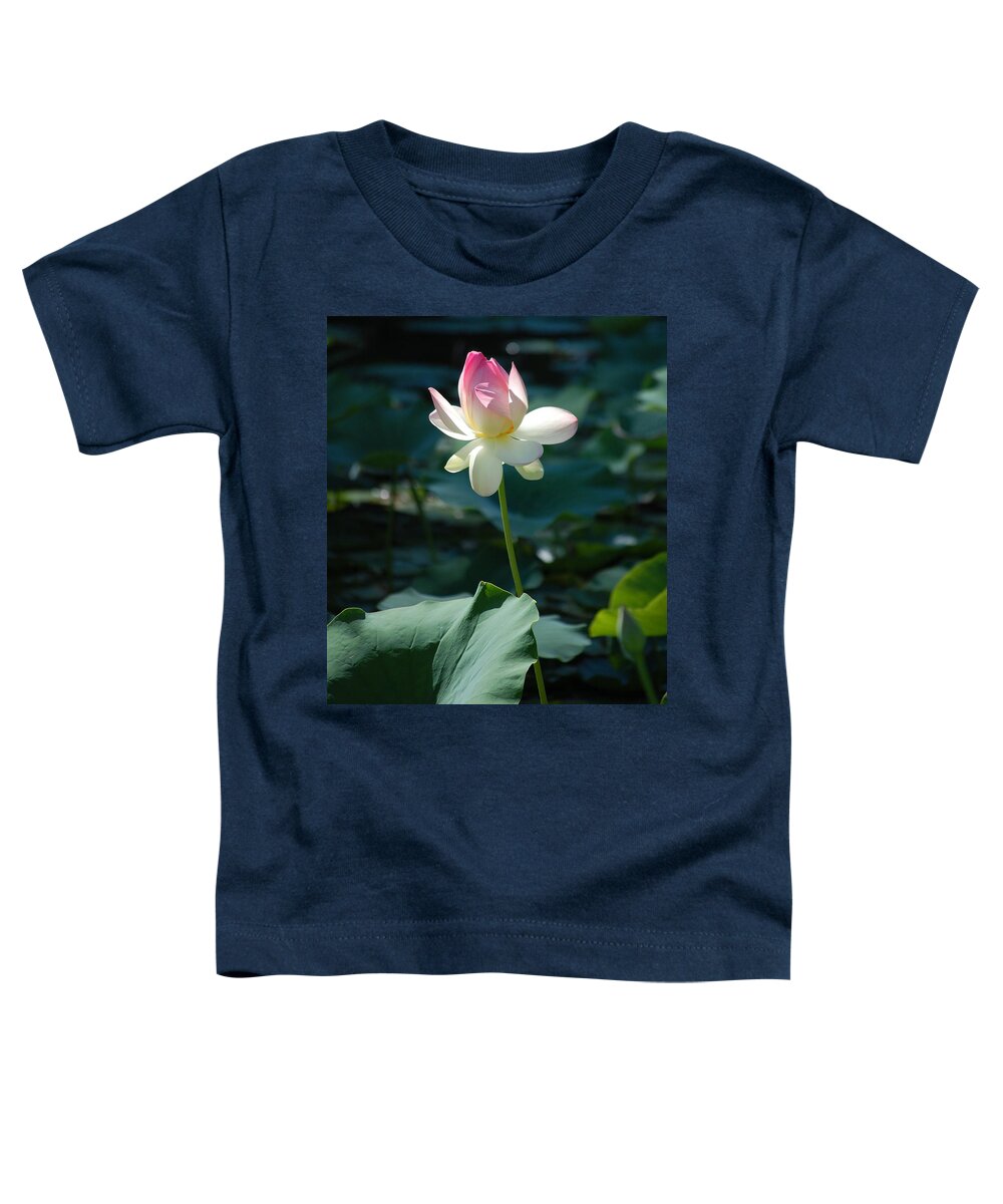 Lilly Pond Toddler T-Shirt featuring the photograph Visit to Lilly Pond 2 by David Lane