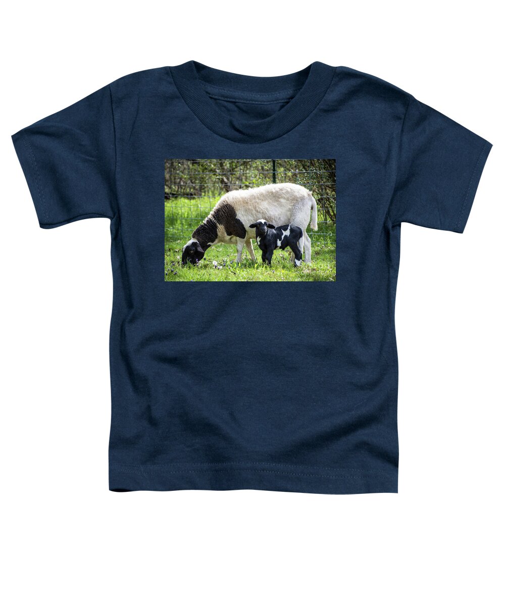 Sheep Toddler T-Shirt featuring the photograph Baba and Pepe by Cheryl McClure