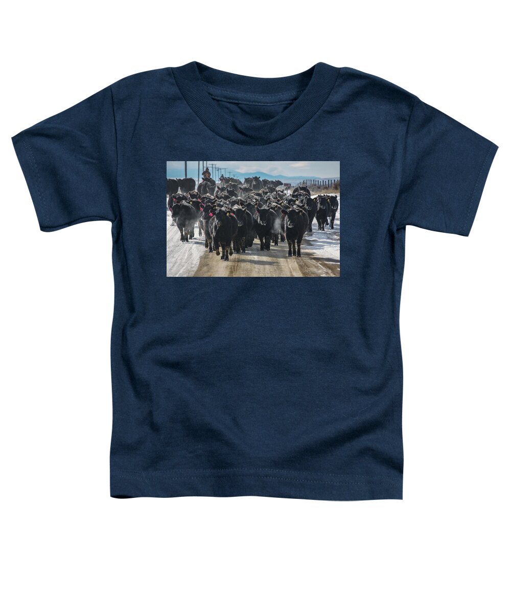 Cowboy Toddler T-Shirt featuring the photograph Cold Angus by Todd Klassy