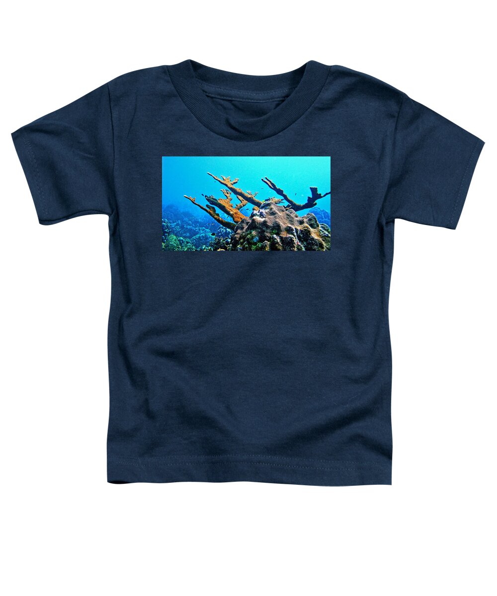 Elkhorn Coral Toddler T-Shirt featuring the photograph Elkhorn by Climate Change VI - Sales