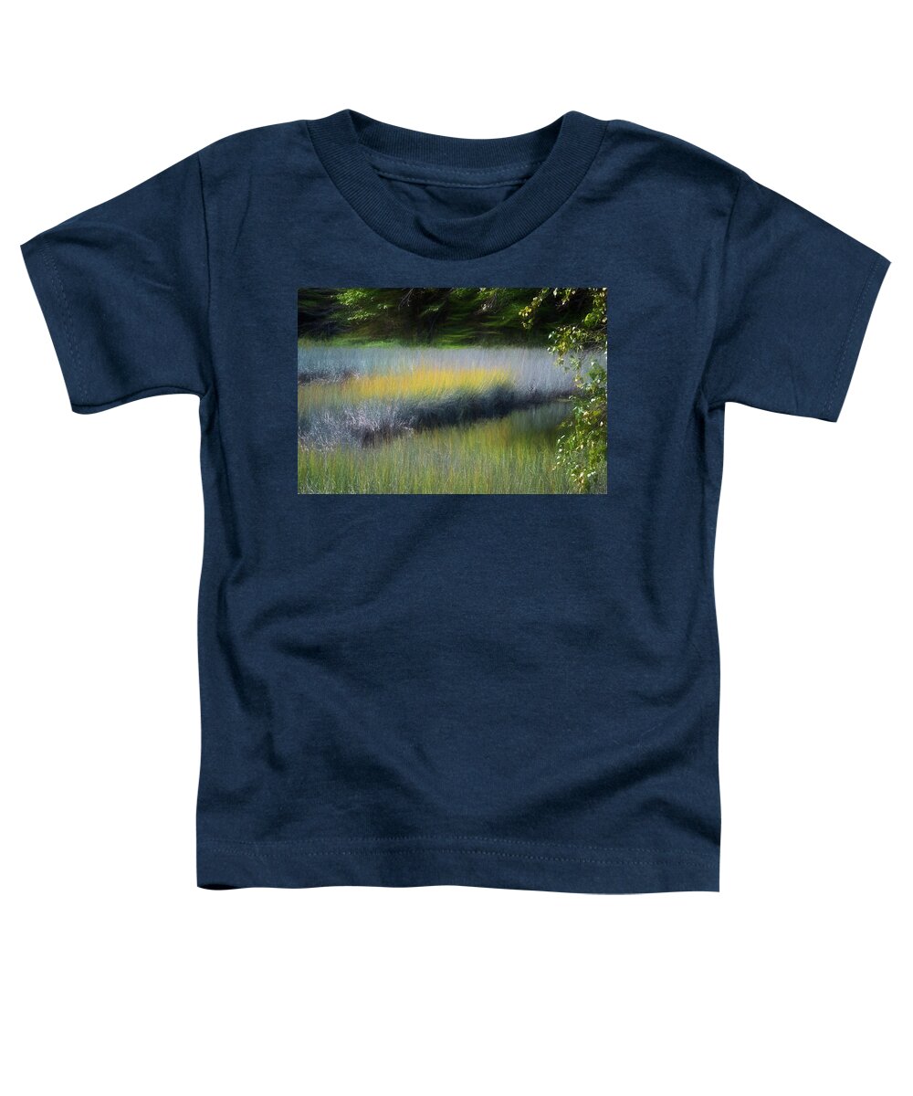 South Freeport Harbor Maine Toddler T-Shirt featuring the photograph Maine Marsh by Tom Singleton