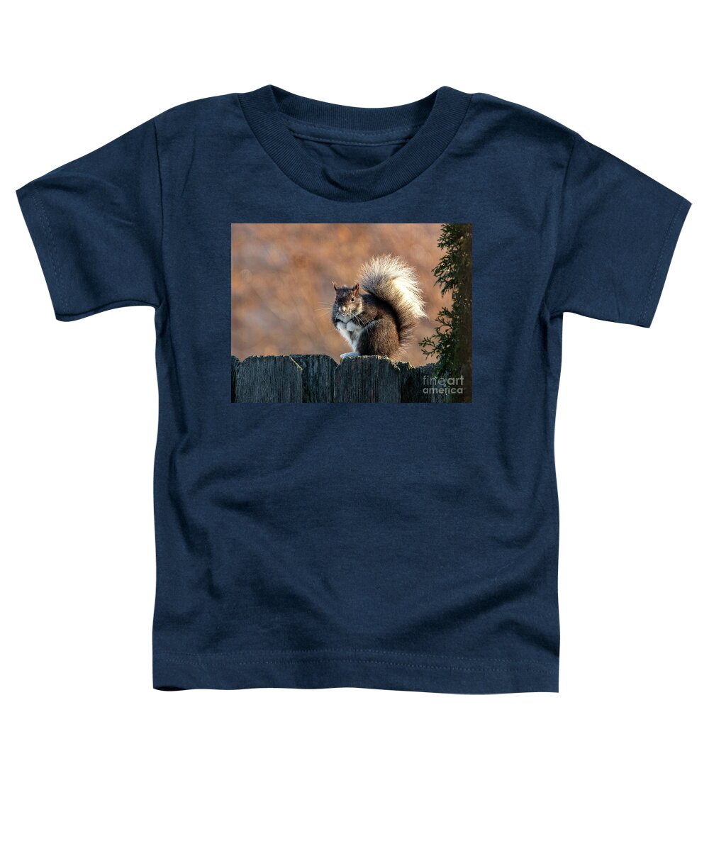 Squirrel Toddler T-Shirt featuring the photograph Mittens the Squirrel by Sandra J's