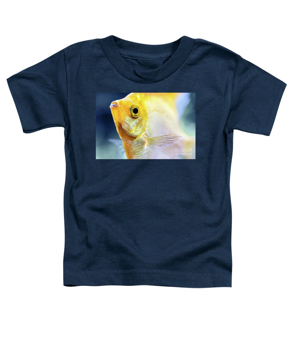 Fish Toddler T-Shirt featuring the photograph Pterophyllum Scalare yellow angel fish head macro selective focus by Gregory DUBUS