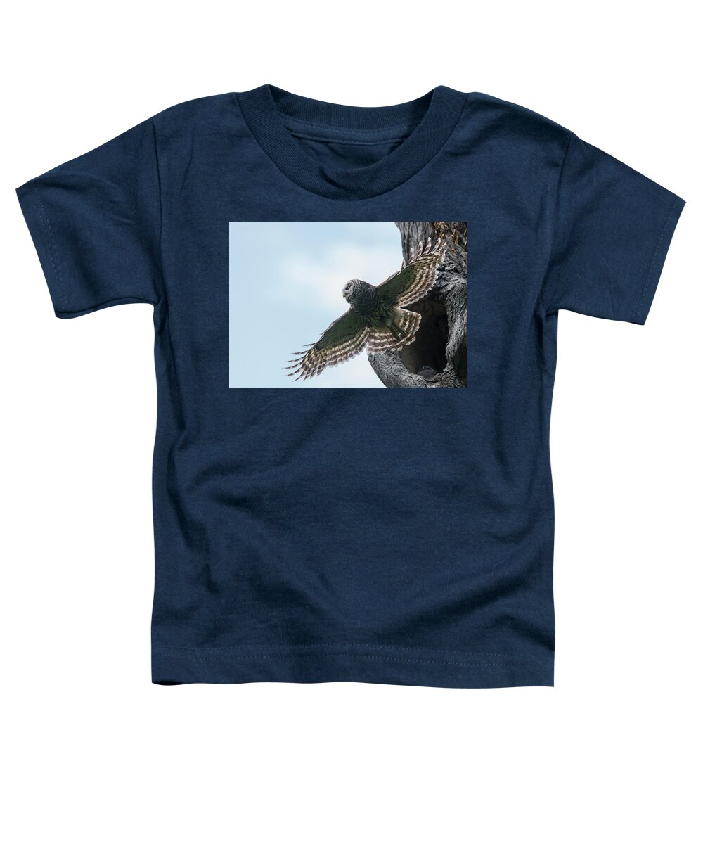 Cute Owlet Toddler T-Shirt featuring the photograph Spreading My Wings by Puttaswamy Ravishankar
