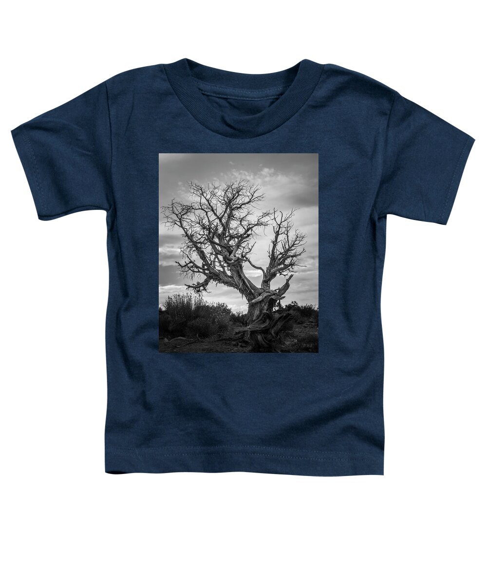 Black And White Toddler T-Shirt featuring the photograph Arches NP XXVI BW by David Gordon