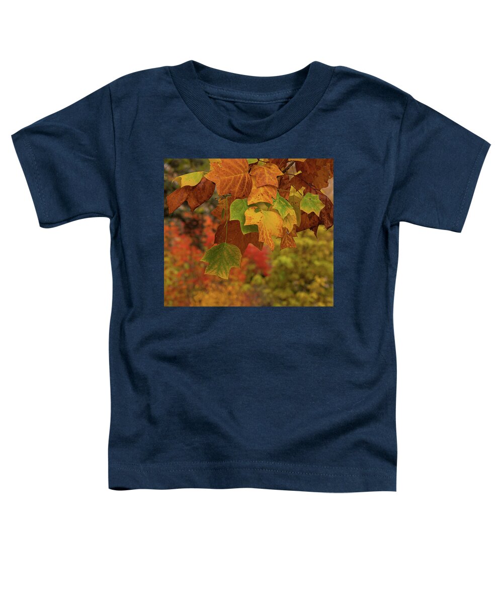 Autumn Toddler T-Shirt featuring the photograph Autumn's Leaves by Sylvia Goldkranz