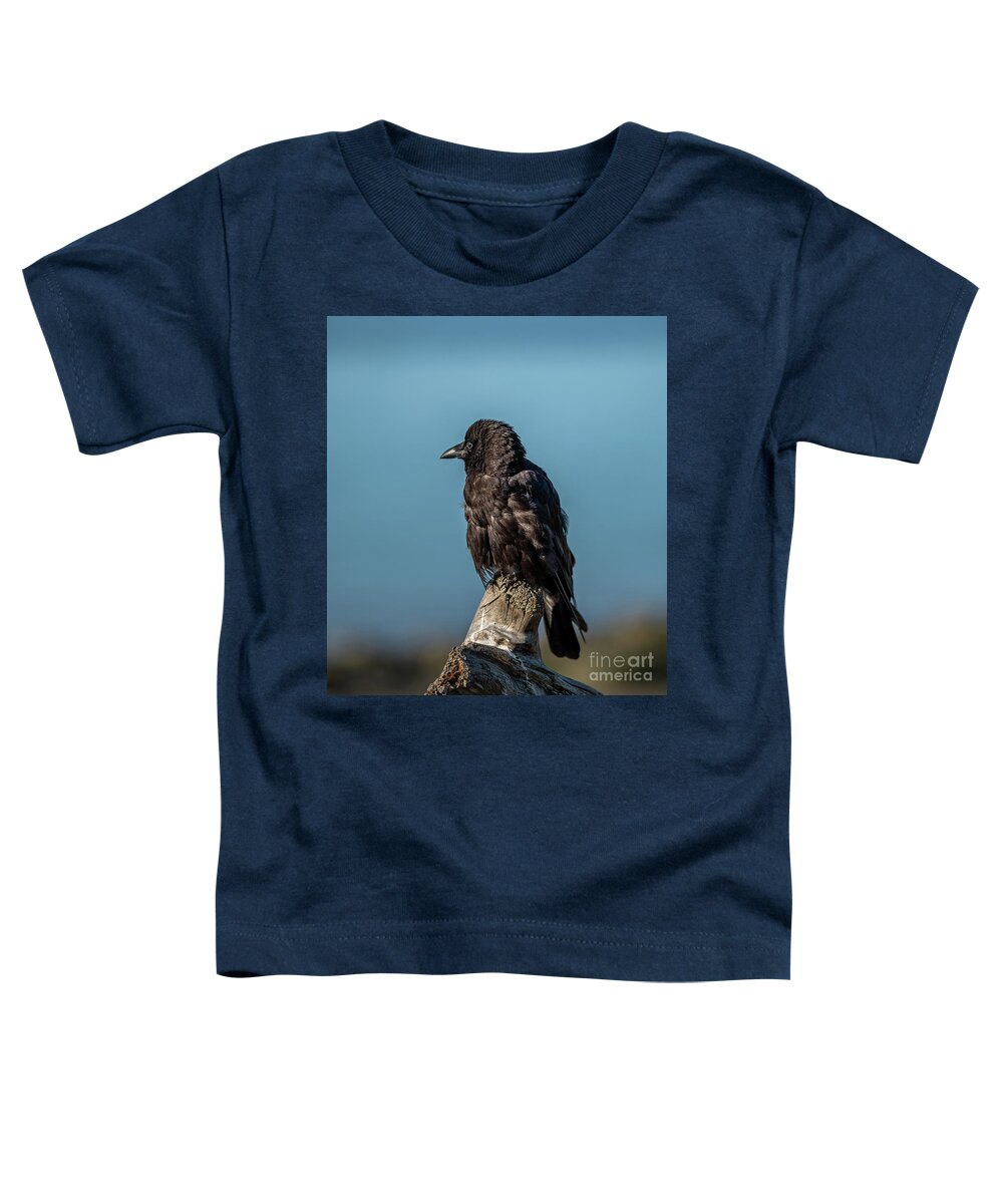 Corvid Toddler T-Shirt featuring the digital art Baby Crow by Jim Hatch