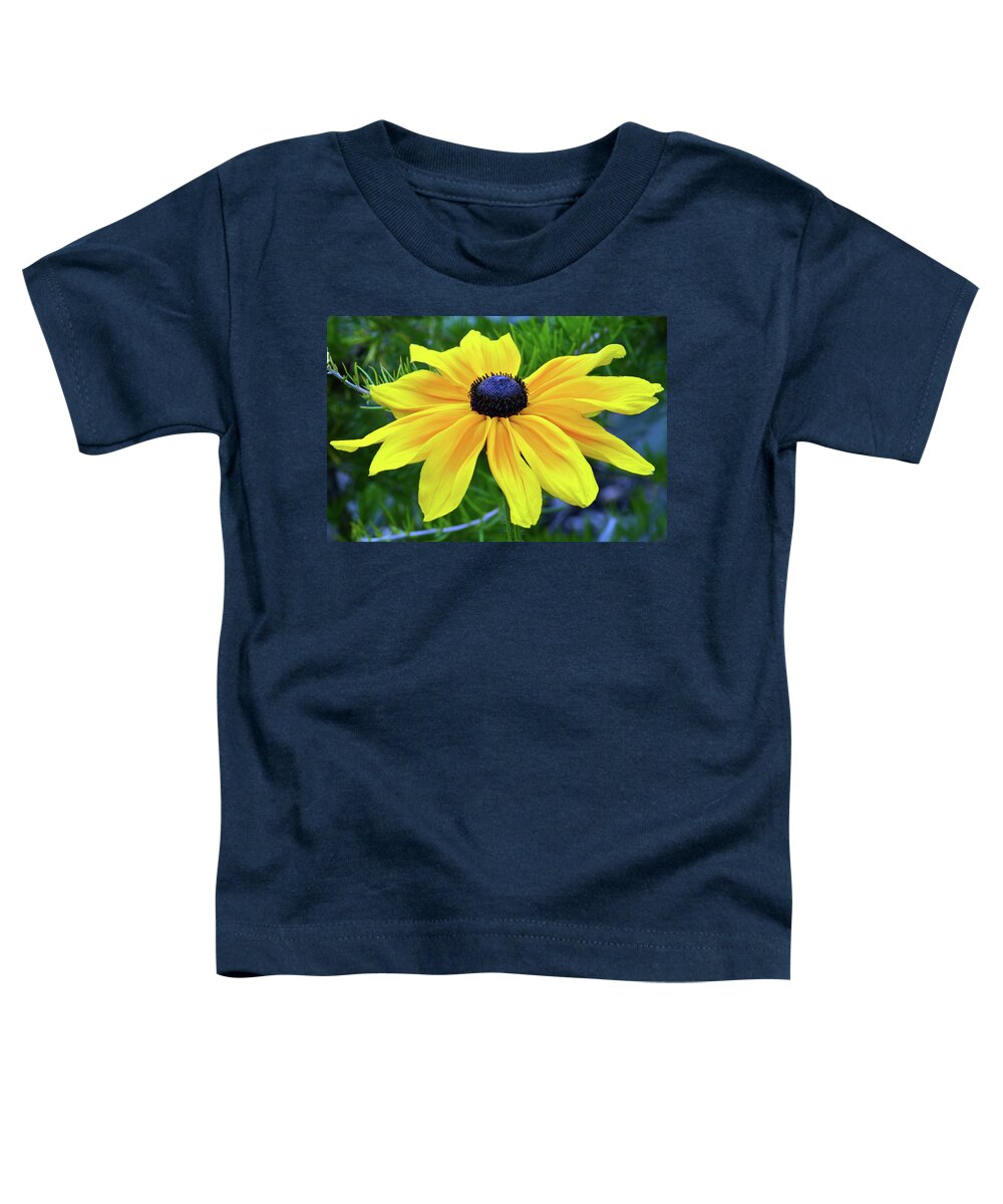 Black Eyed Susan Toddler T-Shirt featuring the photograph Black Eyed Susan Portrait by Terence Davis