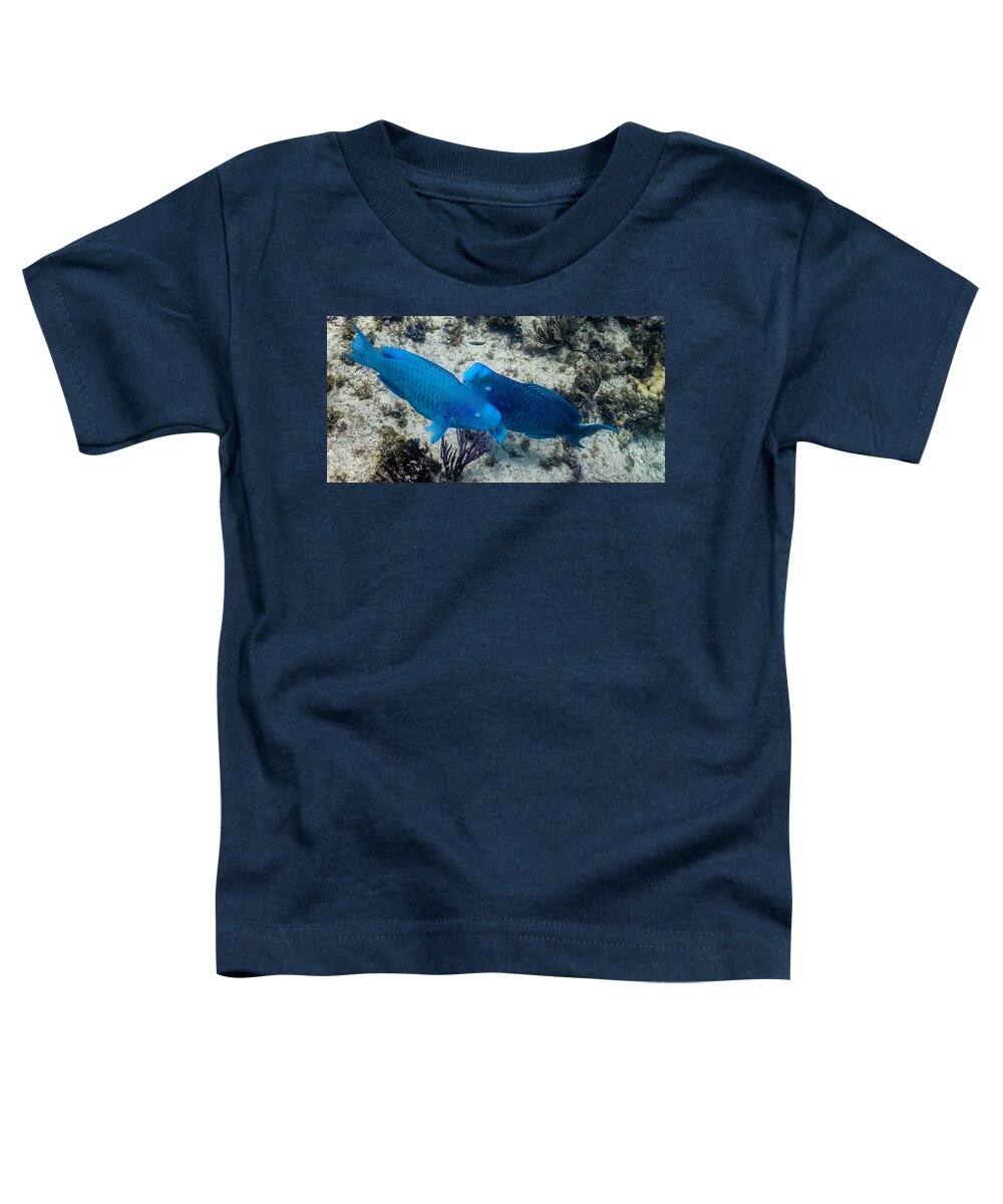 Animals Toddler T-Shirt featuring the photograph Blue Two by Lynne Browne