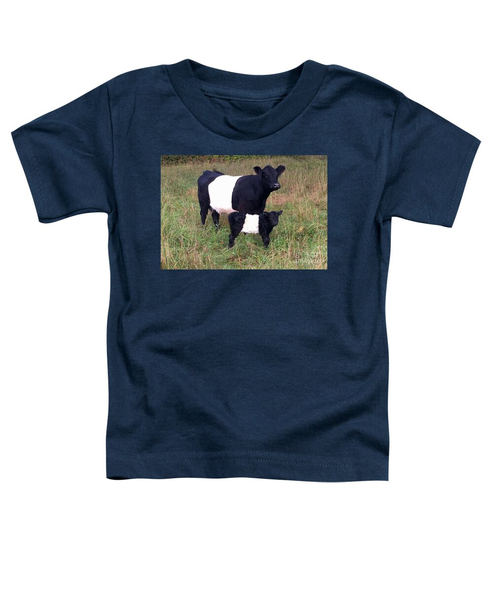 Belted Toddler T-Shirt featuring the photograph Calf and Cow Belted Galloway by D Hackett