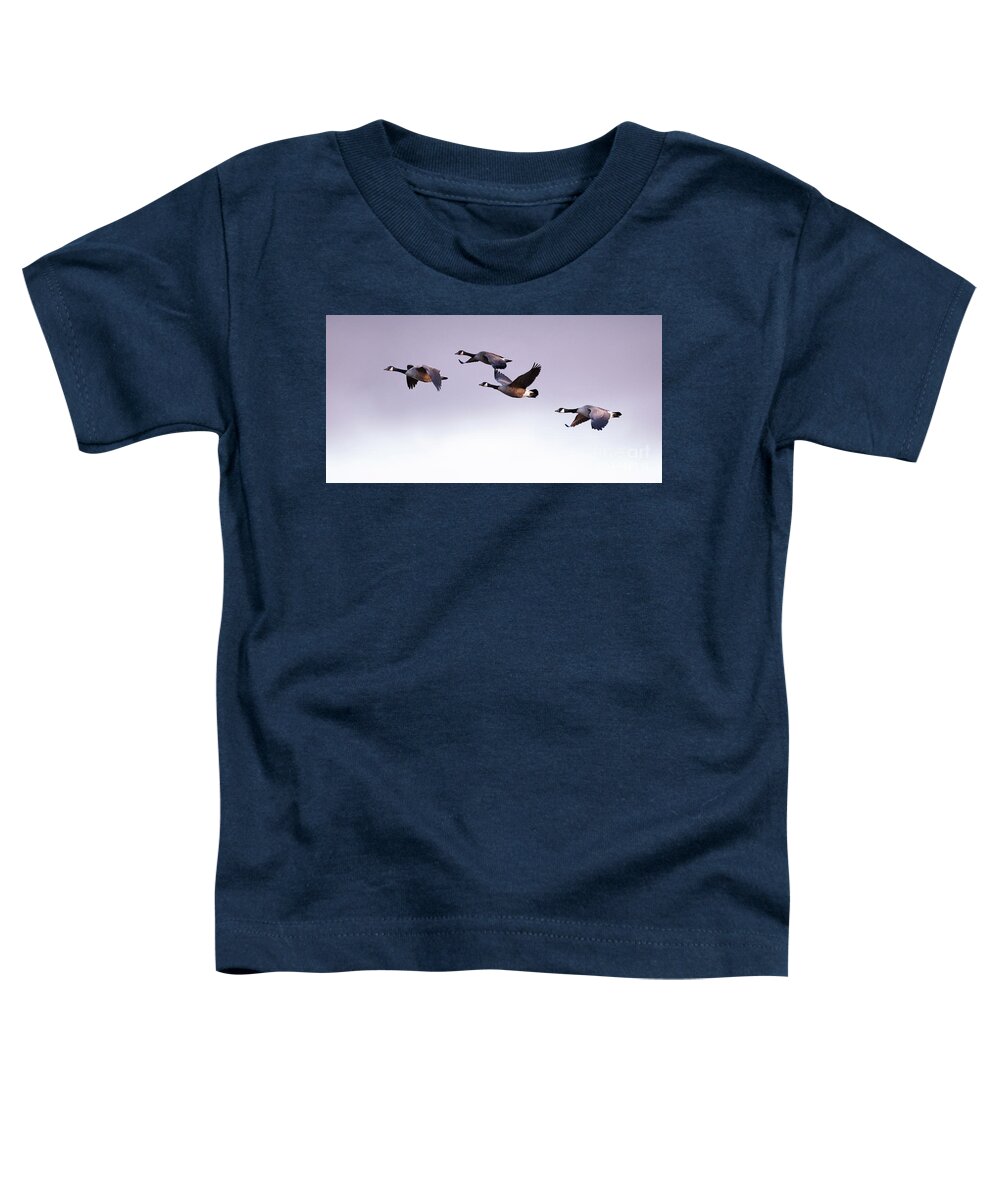 Winter Toddler T-Shirt featuring the photograph Canada Geese in Flight by Rehna George