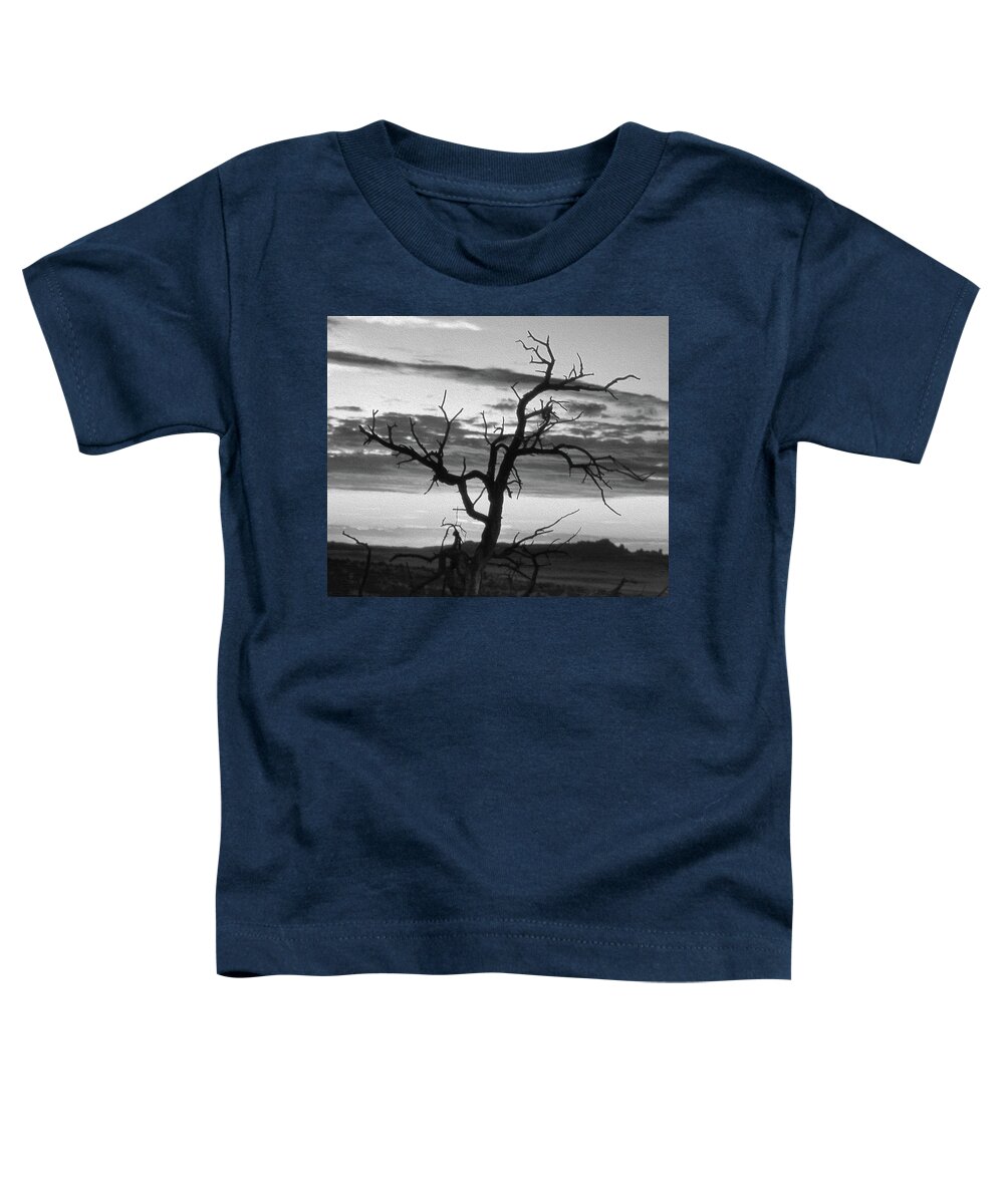 Tree Toddler T-Shirt featuring the photograph Dead Tree in a Southwest Sunset by Mike McGlothlen