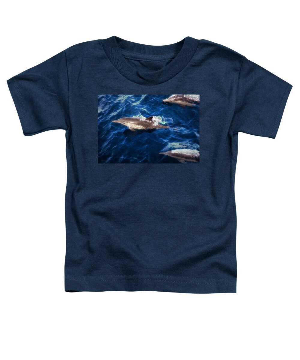 Photographs Toddler T-Shirt featuring the photograph Dolphin Trio Blue Water Off Ventura County Coast in Southern California by John A Rodriguez