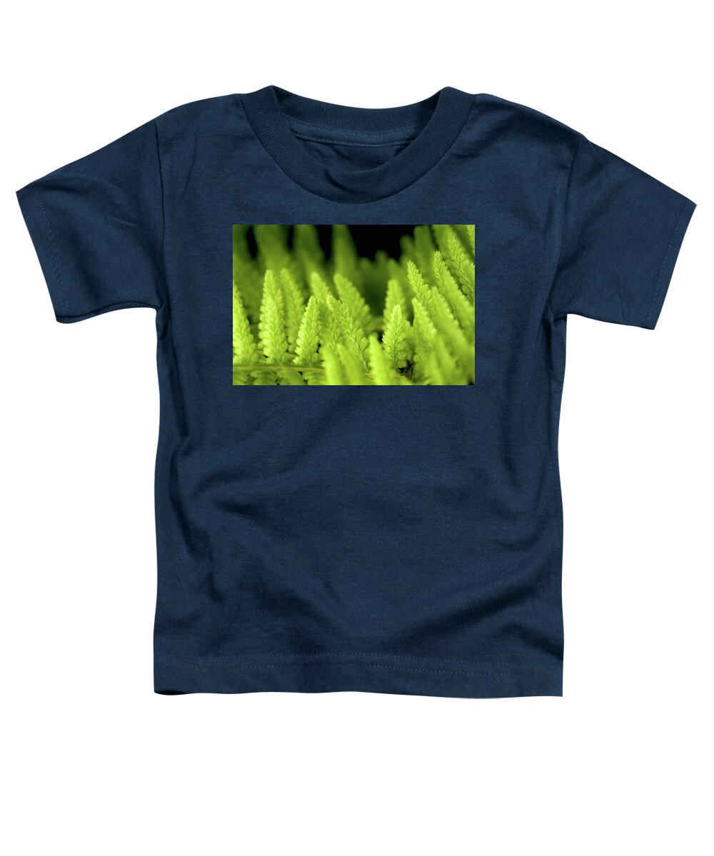 Ferns Toddler T-Shirt featuring the photograph Forest of Ferns by Robert Dann