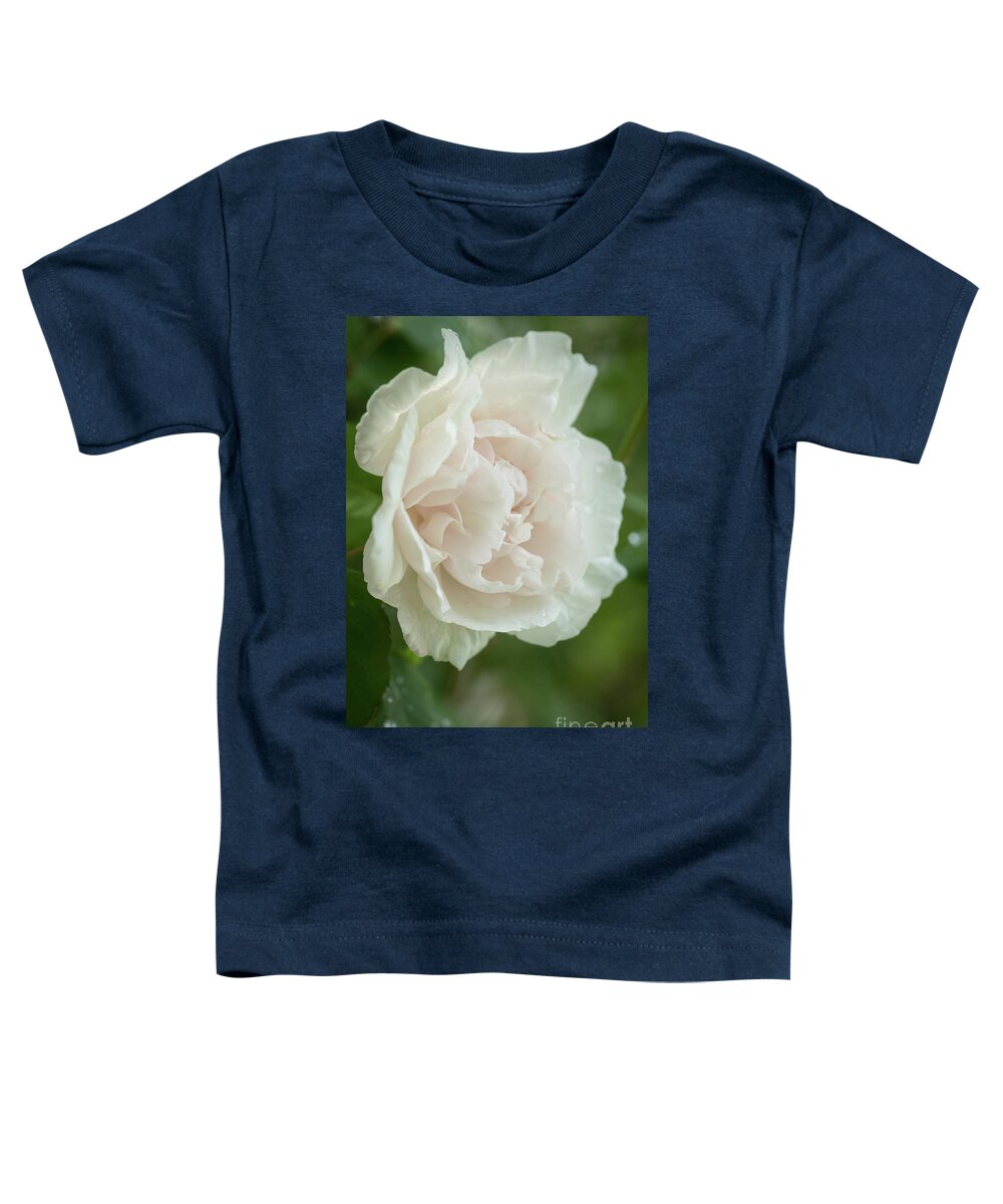 Bloom Toddler T-Shirt featuring the photograph Grandmother's Rose by Nancy Gleason