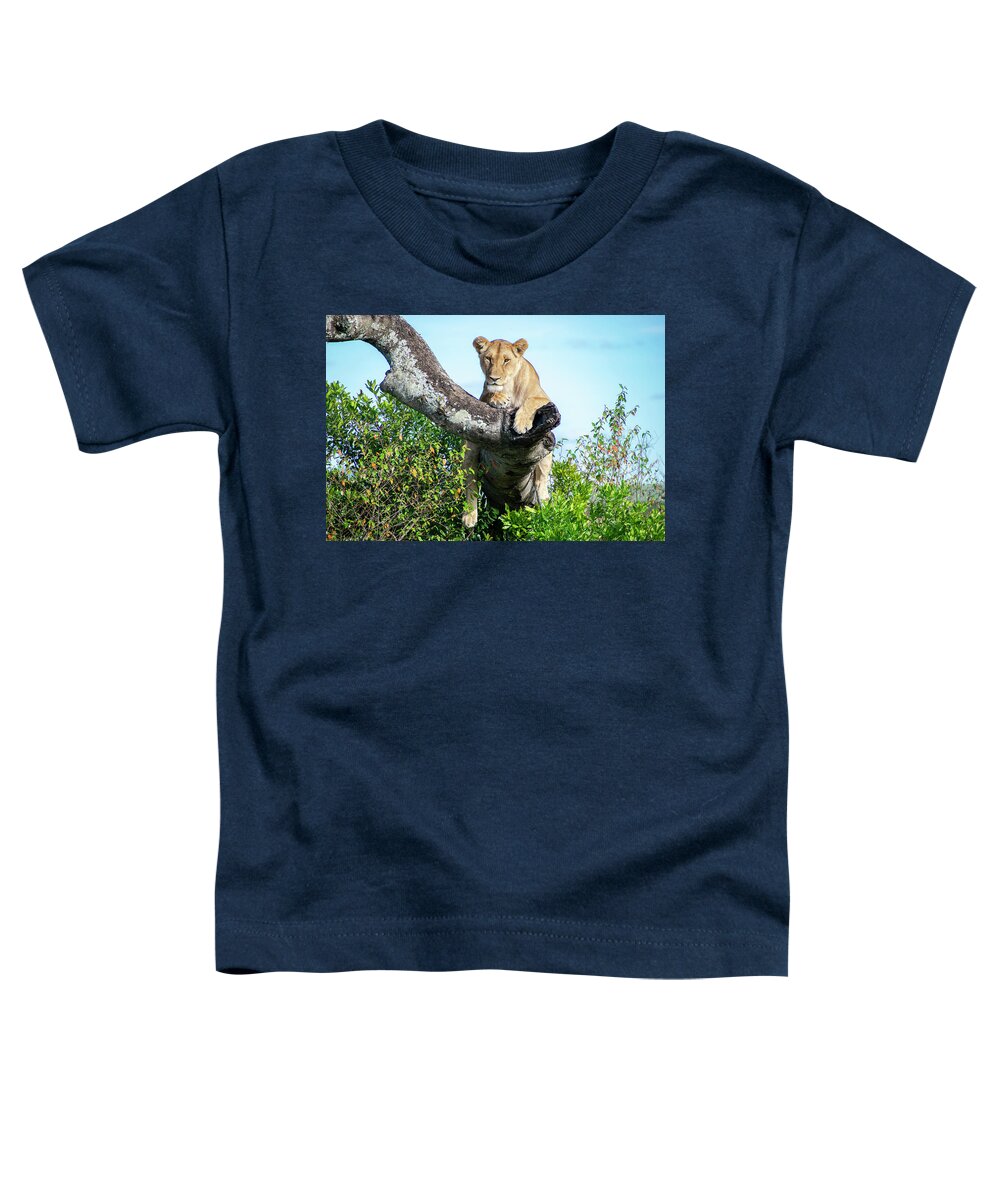 Lioness Toddler T-Shirt featuring the photograph Lioness on the lookout by Gareth Parkes
