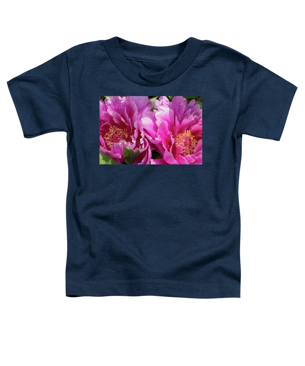 Flower Toddler T-Shirt featuring the photograph Magenta-and-White Tree Peonies by Dawn Cavalieri