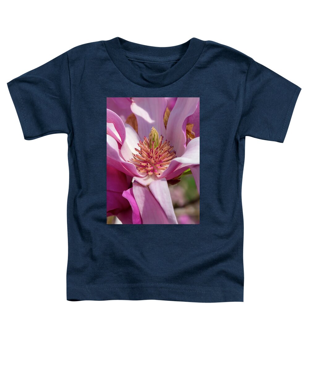 Flower Toddler T-Shirt featuring the photograph Magnolia Ann by Dawn Cavalieri