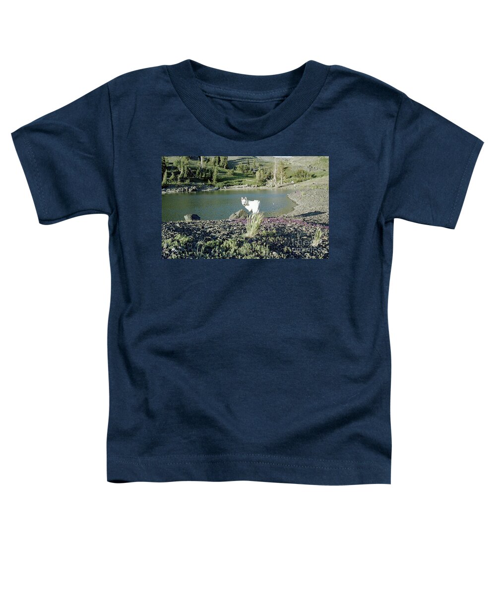 Dogs Toddler T-Shirt featuring the photograph My Boy Bear by Doug Gist