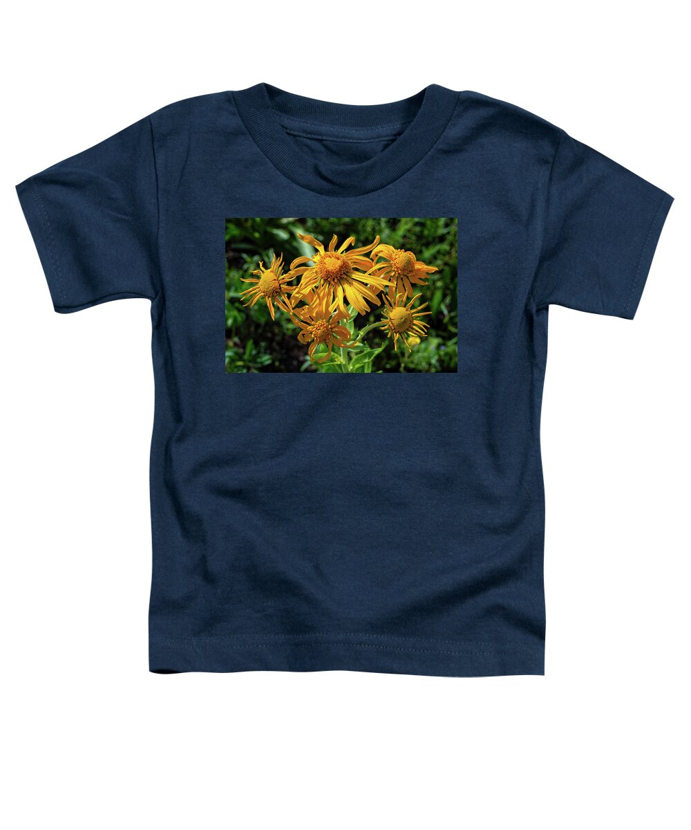 Sneezeweed Toddler T-Shirt featuring the photograph Orange Sneezeweed by Lynn Bauer