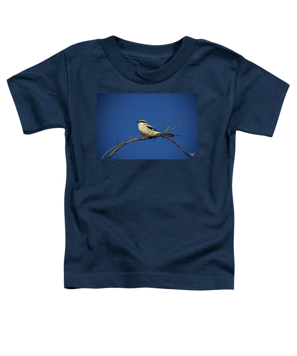 Loggerheadshrike Toddler T-Shirt featuring the photograph Perched by Pam Rendall