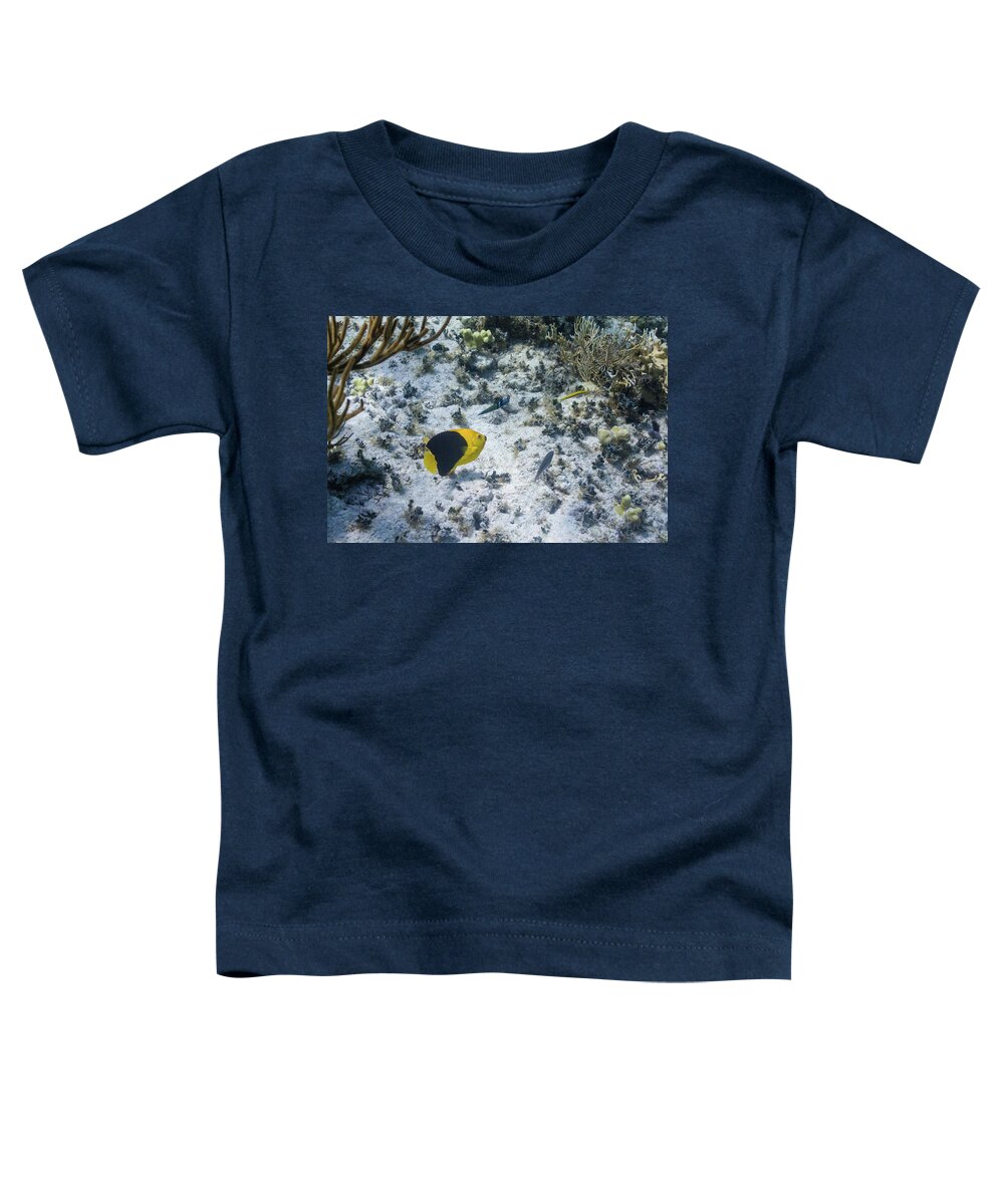 Animals Toddler T-Shirt featuring the photograph So Long by Lynne Browne