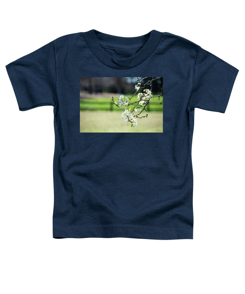 Bradford Pear Toddler T-Shirt featuring the photograph Springtime in Montgomery by Mary Ann Artz