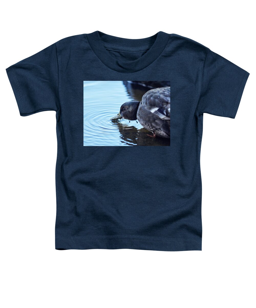 Anas Platyrhynchos Toddler T-Shirt featuring the photograph Thirsty mallard by Jouko Lehto