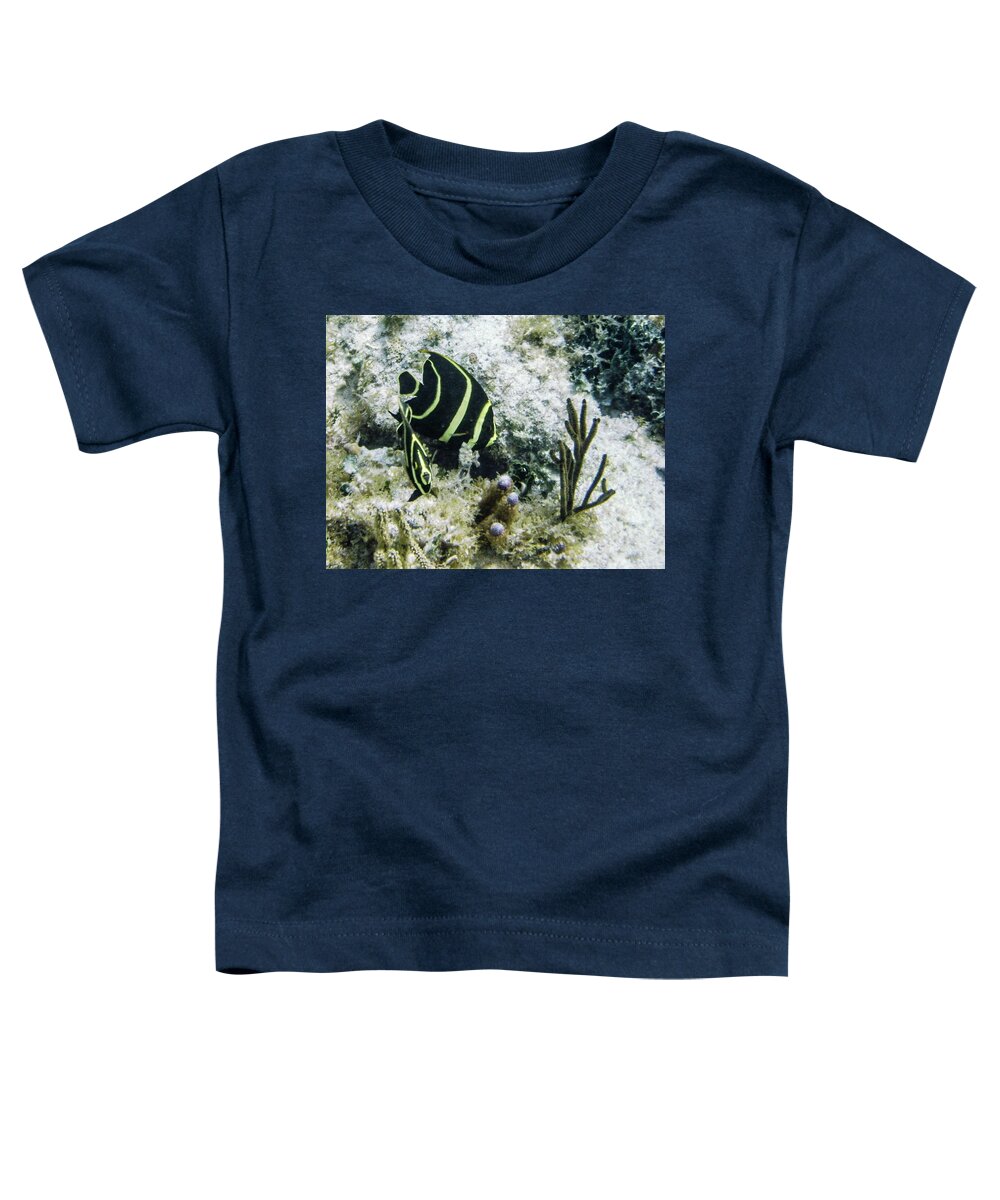 Animals Toddler T-Shirt featuring the photograph Youngsters by Lynne Browne