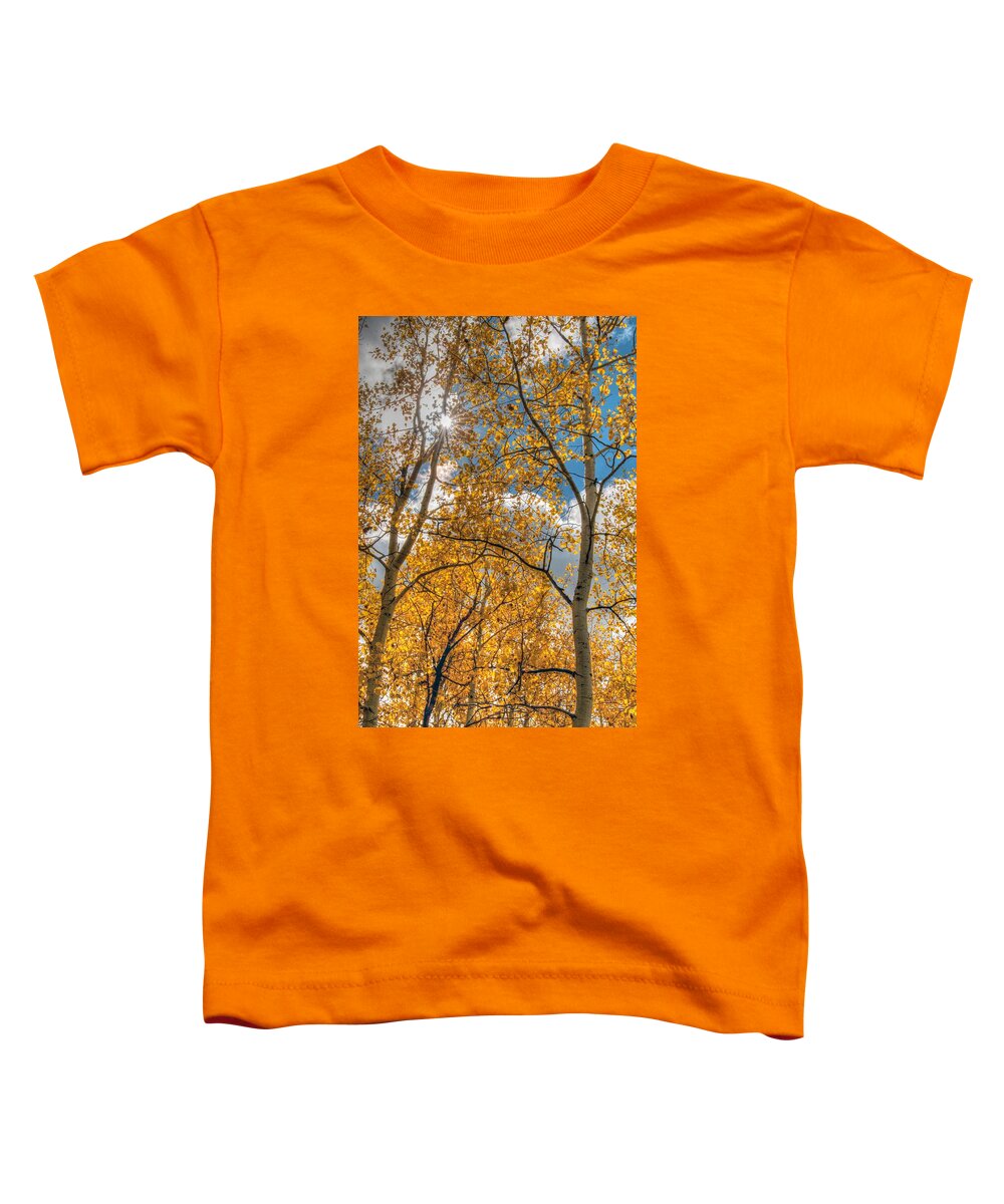 Aspen Trees Toddler T-Shirt featuring the photograph Aspens by Tam Ryan